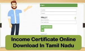 income certificate, tamil nadu, chennai, income certificate online download