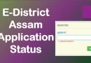 e district assam application status,