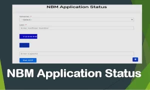 nbm application status
