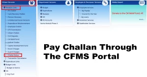 pay challan,cfms portal,,