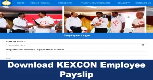 kexcon employee payslip,